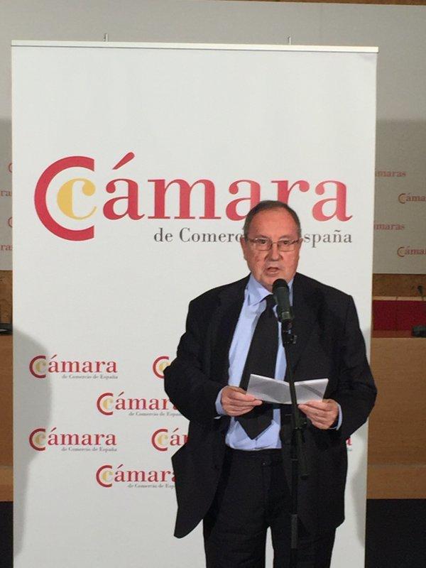 propuestas materia economica Camara de España